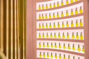 林清轩快闪店登陆上海来福士广场 实力演绎中国高端护肤品牌的百变魔力